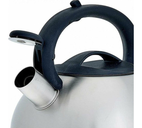 WEBBER BE-0587 Чайник нерж со свистком 3л, сатин