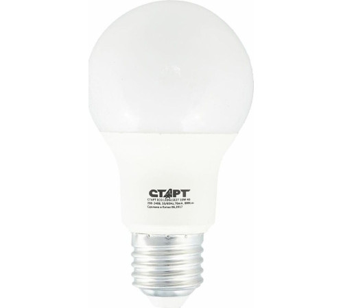 СТАРТ (17290) LEDGLS E27 10W40 WS