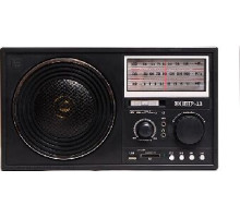 ЭФИР 13 УКВ 64-108МГц, бат. 4*R20, 220V, USB/SD/microSD/AUX
