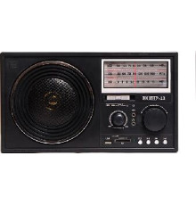 ЭФИР 13 УКВ 64-108МГц, бат. 4*R20, 220V, USB/SD/microSD/AUX