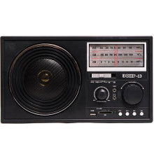 ЭФИР 13 УКВ 64-108МГц, бат. 4*R20, 220V, USB/SD/microSD/AUX