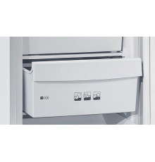 POZIS 106-2 210л серебристый