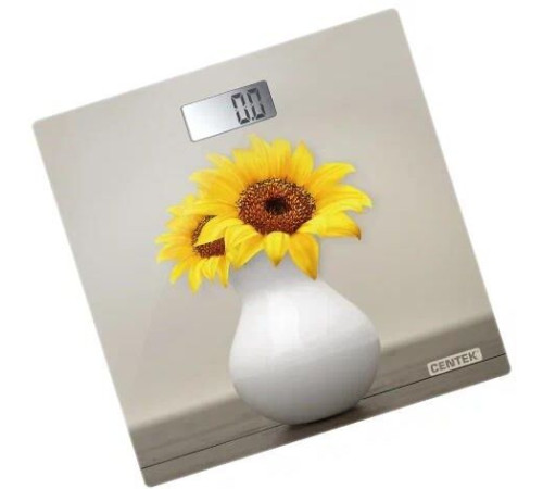 CENTEK CT-2428 Sunflower