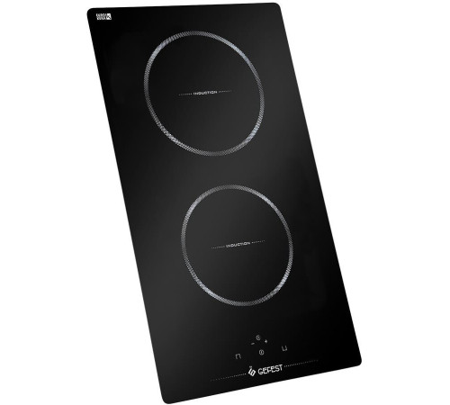 GEFEST ПВИ 4000 индукционная