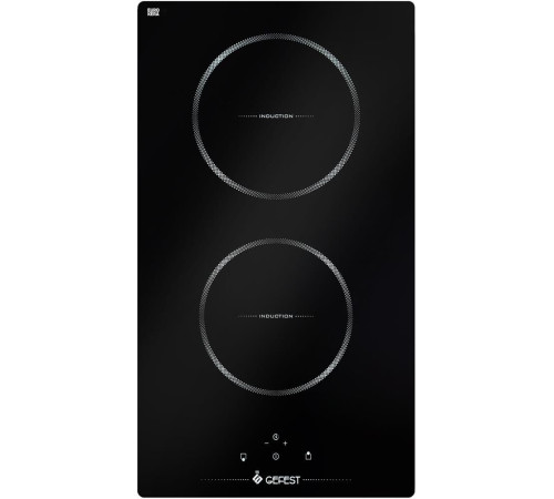 GEFEST ПВИ 4000 индукционная