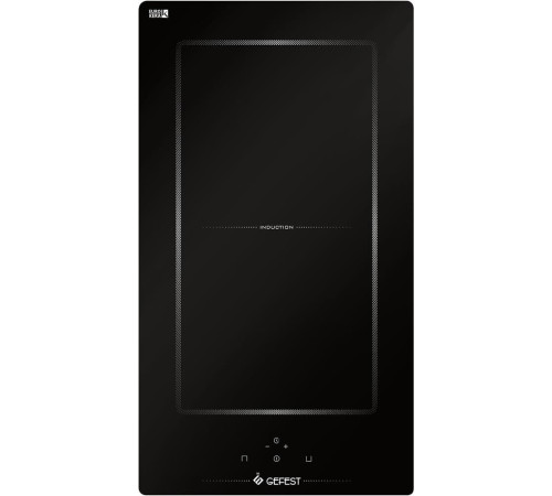 GEFEST ПВИ 4001 индукционная