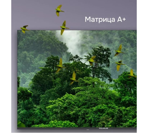 POLARLINE 43PL51TC FHD