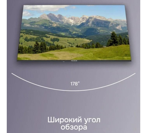 POLARLINE 43PL51TC FHD