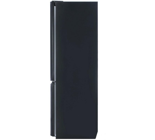 POZIS RK FNF-170 314л черный