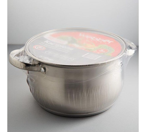 WEBBER BE-146/2 5,0л