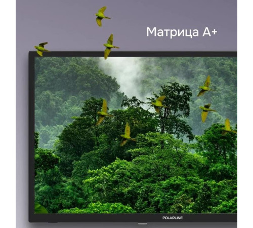 POLARLINE 24PL12TC-T2 HD READY