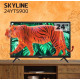SKYLINE 24YT5900-T2 HD