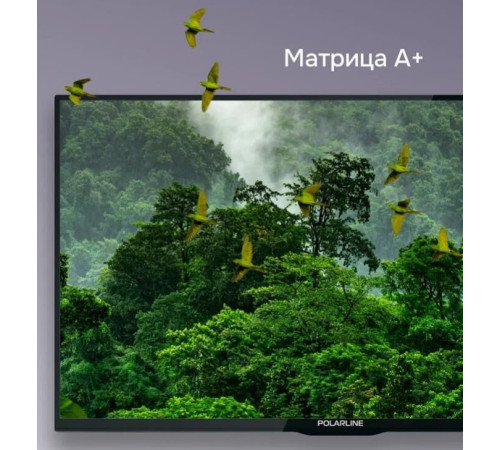 POLARLINE 32PL14TC HD SMART TV Android
