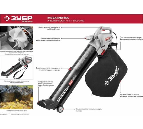 ЗУБР ЗПСЭ-3000