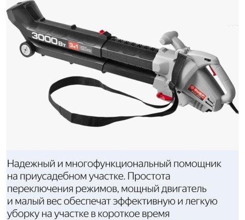 ЗУБР ЗПСЭ-3000