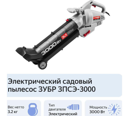 ЗУБР ЗПСЭ-3000