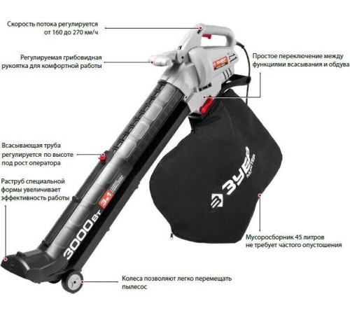 ЗУБР ЗПСЭ-3000