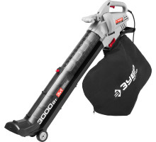 ЗУБР ЗПСЭ-3000