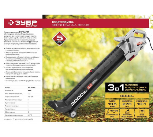 ЗУБР ЗПСЭ-3000