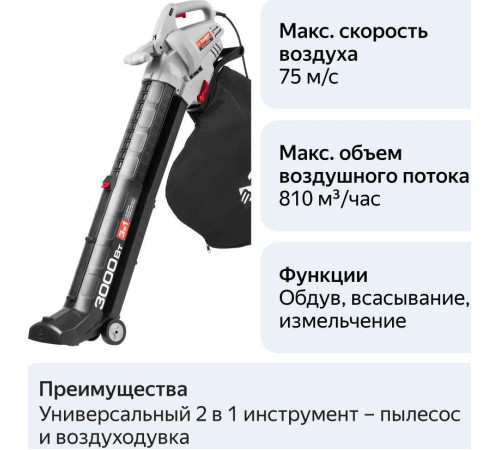 ЗУБР ЗПСЭ-3000