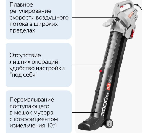 ЗУБР ЗПСЭ-3000