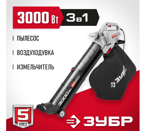 ЗУБР ЗПСЭ-3000