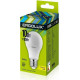 ERGOLUX (12148) LED-A60-10W-E27-3K