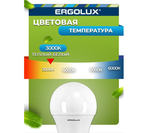 ERGOLUX (12148) LED-A60-10W-E27-3K