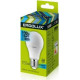 ERGOLUX (12150) LED-A60-12W-E27-3K