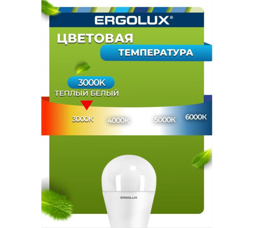 ERGOLUX (13176) LED-G45-9W-E27-3K