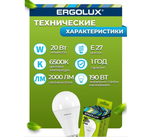ERGOLUX (13184) LED-A65-20W-E27-6K