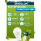 ERGOLUX (13184) LED-A65-20W-E27-6K