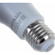 ERGOLUX (13179) LED-A60-17W-E27-3K