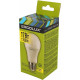ERGOLUX (13179) LED-A60-17W-E27-3K
