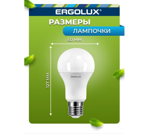 ERGOLUX (12880) LED-A60-12W-E27-6K