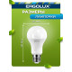 ERGOLUX (12880) LED-A60-12W-E27-6K