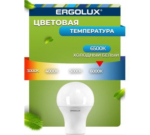 ERGOLUX (12880) LED-A60-12W-E27-6K