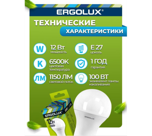 ERGOLUX (12880) LED-A60-12W-E27-6K