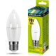 ERGOLUX (13170) LED-C35-9W-E27-3K