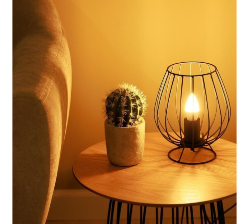 ERGOLUX (13170) LED-C35-9W-E27-3K