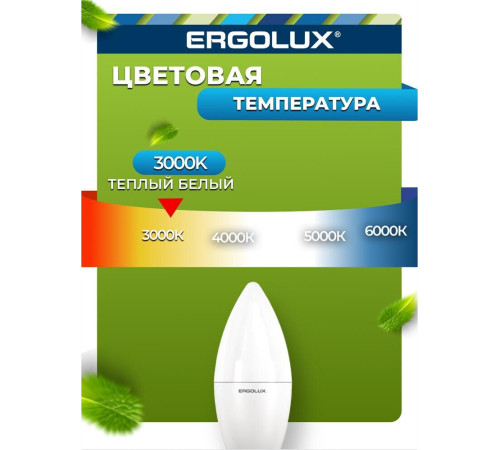 ERGOLUX (13170) LED-C35-9W-E27-3K