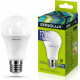 ERGOLUX (13181) LED-A60-17W-E27-6K