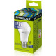 ERGOLUX (13181) LED-A60-17W-E27-6K