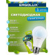 ERGOLUX (12879) LED-A60-10W-E27-6K