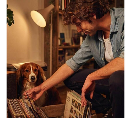 ERGOLUX (12879) LED-A60-10W-E27-6K