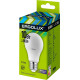 ERGOLUX (12879) LED-A60-10W-E27-6K