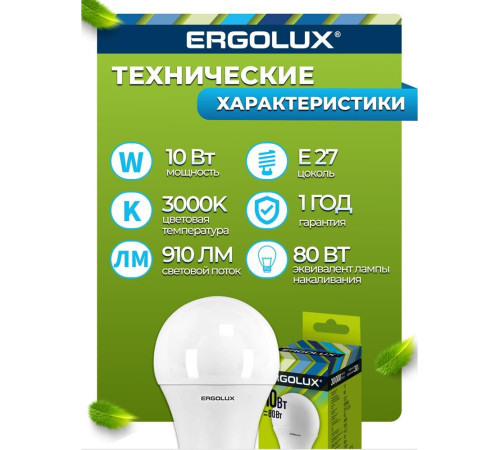 ERGOLUX (12879) LED-A60-10W-E27-6K