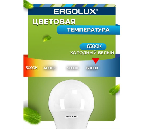 ERGOLUX (12879) LED-A60-10W-E27-6K