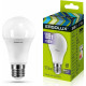ERGOLUX (12879) LED-A60-10W-E27-6K