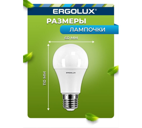 ERGOLUX (12879) LED-A60-10W-E27-6K